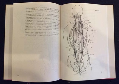 人体解剖と描写方＿中ページ.jpg